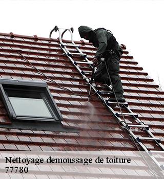 Nettoyage demoussage de toiture 77780