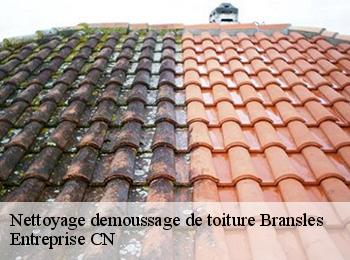 Nettoyage demoussage de toiture bransles-77620 Entreprise CN