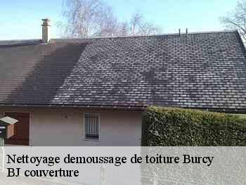 Nettoyage demoussage de toiture  burcy-77890 BJ couverture