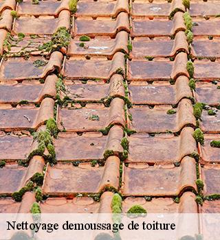 Nettoyage demoussage de toiture 77144