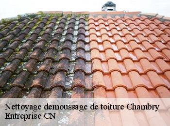 Nettoyage demoussage de toiture  chambry-77910 Entreprise CN