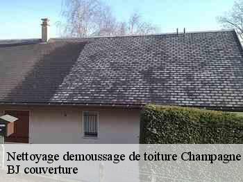 Nettoyage demoussage de toiture  champagne-sur-seine-77430 BJ couverture