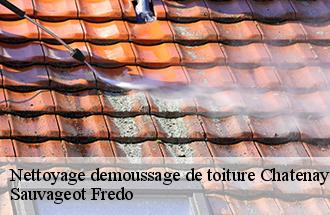 Nettoyage demoussage de toiture  chatenay-sur-seine-77126 BJ couverture