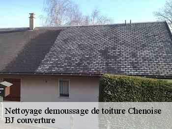 Nettoyage demoussage de toiture  chenoise-77160 BJ couverture