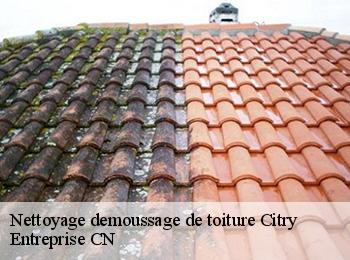 Nettoyage demoussage de toiture  citry-77730 Entreprise CN
