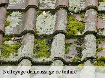 Nettoyage demoussage de toiture
