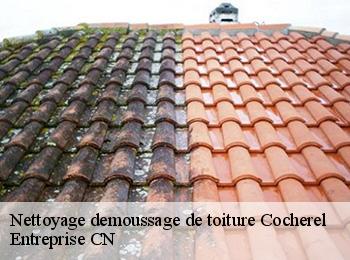 Nettoyage demoussage de toiture  cocherel-77440 Entreprise CN