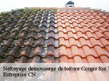 Nettoyage demoussage de toiture congis-sur-therouanne-77440 Entreprise CN