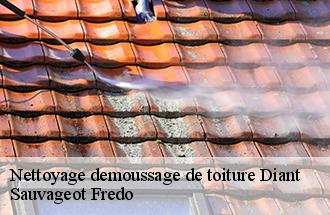Nettoyage demoussage de toiture diant-77940 Sauvageot Fredo