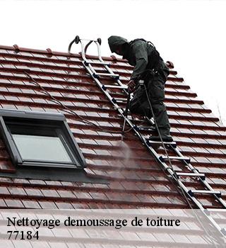 Nettoyage demoussage de toiture  77184