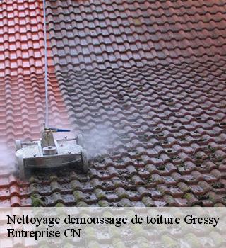 Nettoyage demoussage de toiture  77410