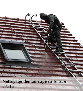 Nettoyage demoussage de toiture 77515