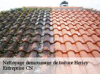 Nettoyage demoussage de toiture hericy-77850 Entreprise CN