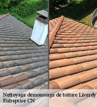 Nettoyage demoussage de toiture  77220