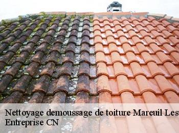 Nettoyage demoussage de toiture mareuil-les-meaux-77100 Entreprise CN