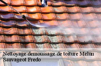 Nettoyage demoussage de toiture melun-77000 Sauvageot Fredo