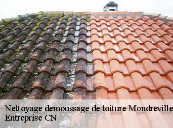 Nettoyage demoussage de toiture  mondreville-77570 Entreprise CN