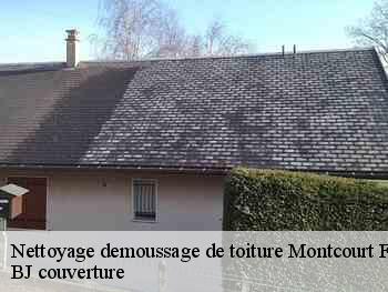 Nettoyage demoussage de toiture  montcourt-fromonville-77140 BJ couverture