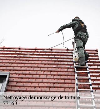 Nettoyage demoussage de toiture  77163