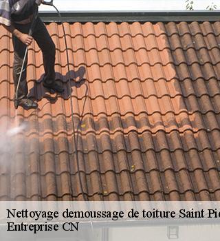 Nettoyage demoussage de toiture  77140