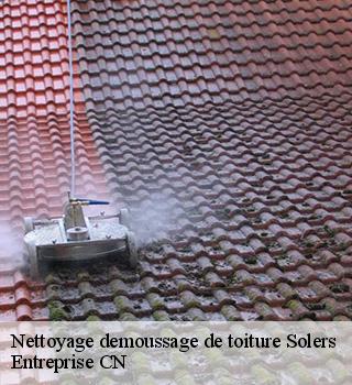 Nettoyage demoussage de toiture 77111