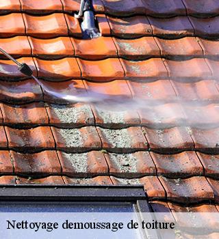 Nettoyage demoussage de toiture 77200