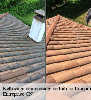 Nettoyage demoussage de toiture 77131