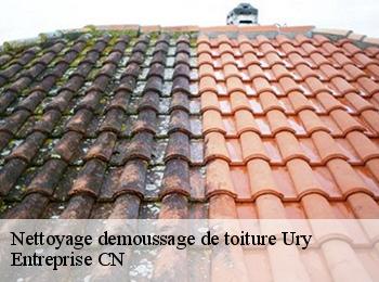 Nettoyage demoussage de toiture ury-77760 Entreprise CN