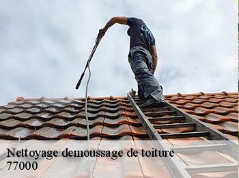 Nettoyage demoussage de toiture 77000
