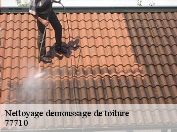 Nettoyage demoussage de toiture 77710