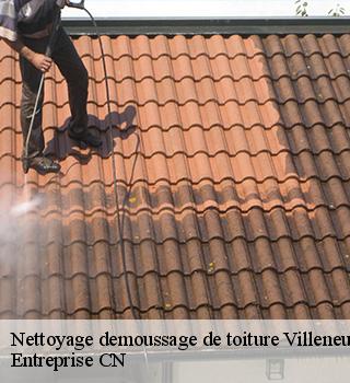 Nettoyage demoussage de toiture  77174