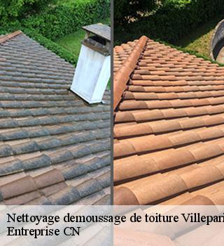 Nettoyage demoussage de toiture  77270