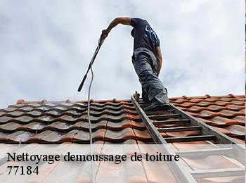 Nettoyage demoussage de toiture 77184