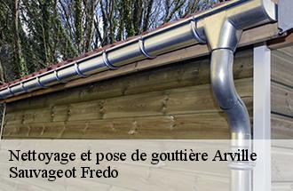 Nettoyage et pose de gouttière arville-77890 Sauvageot Fredo