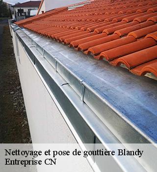 Nettoyage et pose de gouttière  77115