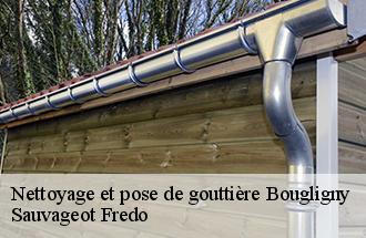 Nettoyage et pose de gouttière bougligny-77570 Sauvageot Fredo