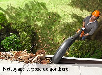 Nettoyage et pose de gouttière