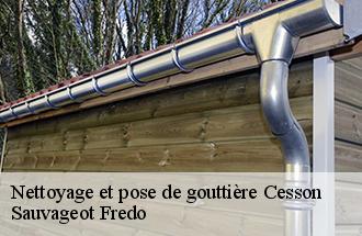 Nettoyage et pose de gouttière cesson-77240 Sauvageot Fredo