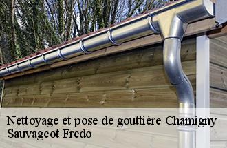 Nettoyage et pose de gouttière  chamigny-77260 Sauvageot Fredo