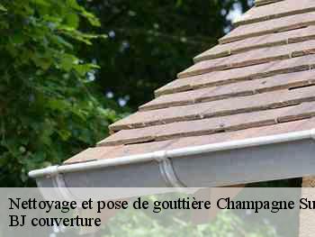Nettoyage et pose de gouttière  champagne-sur-seine-77430 BJ couverture