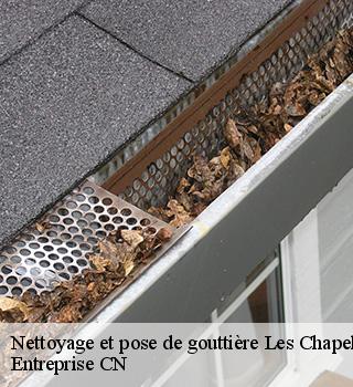 Nettoyage et pose de gouttière 77610