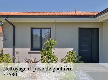 Nettoyage et pose de gouttière 77580