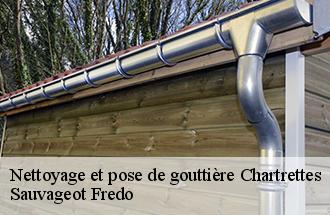 Nettoyage et pose de gouttière chartrettes-77590 Sauvageot Fredo