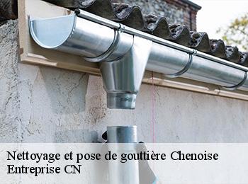 Nettoyage et pose de gouttière  chenoise-77160 Entreprise CN