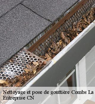 Nettoyage et pose de gouttière 77380