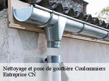 Nettoyage et pose de gouttière coulommiers-77120 Entreprise CN