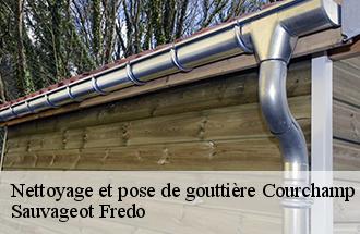 Nettoyage et pose de gouttière courchamp-77560 Sauvageot Fredo