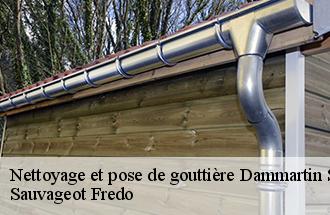 Nettoyage et pose de gouttière dammartin-sur-tigeaux-77163 Sauvageot Fredo