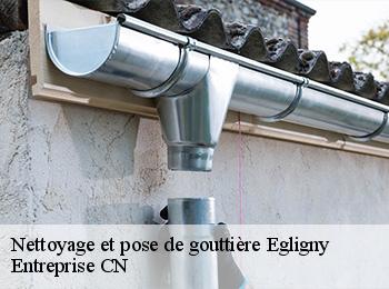 Nettoyage et pose de gouttière  egligny-77126 Entreprise CN