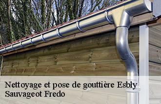 Nettoyage et pose de gouttière  esbly-77450 Sauvageot Fredo